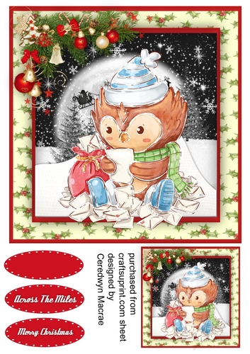 Cute Owls Christmas Mail