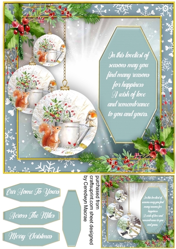 Beautiful Baubles and Christmas Animals 