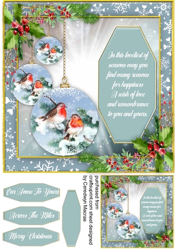 Beautiful Baubles and Robin