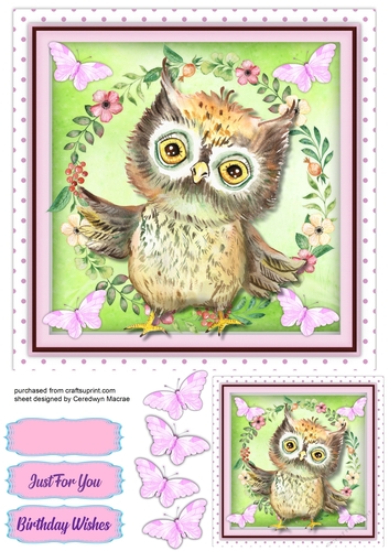 Gorgeous Owl and Butterflies 