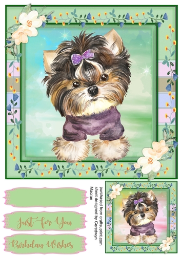 Adorable Yorkie   Pup with Bow