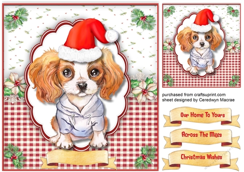 Cute Cavalier in a Santa Hat