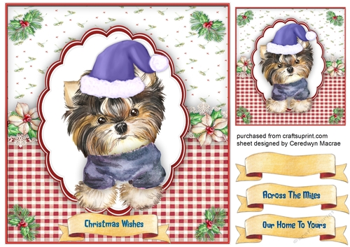 Cute Yorkie   in a Santa Hat