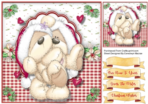 Teds Cuddles at Christmas