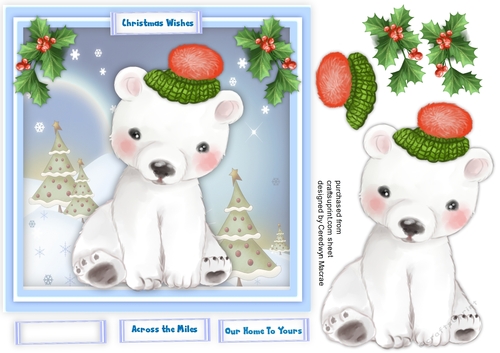 Polar Cub in a Bobble Hat