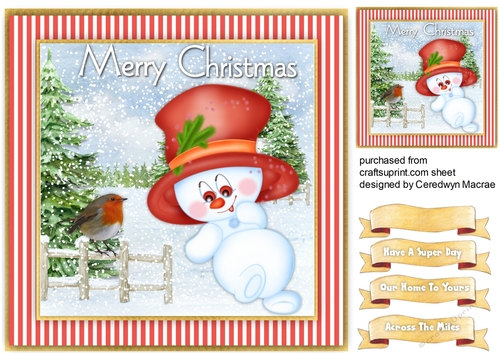 Little Snowmans Friend