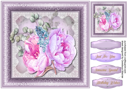 Beautiful Lilac and Peony Roses