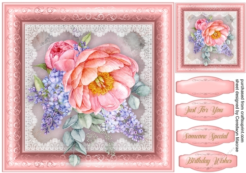 Beautiful Lilac and Pink Peony Roses