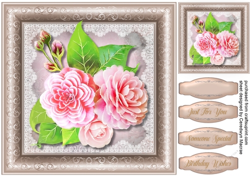 Beautiful  Pink Camellias