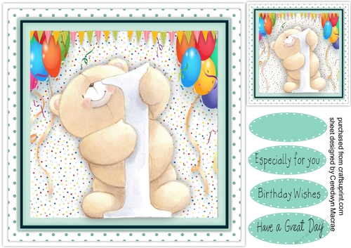 Teds Happy 1st Birthday