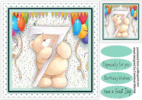 Teds Happy 7th Birthday