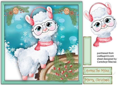 Gorgeous  Llama with Glasses