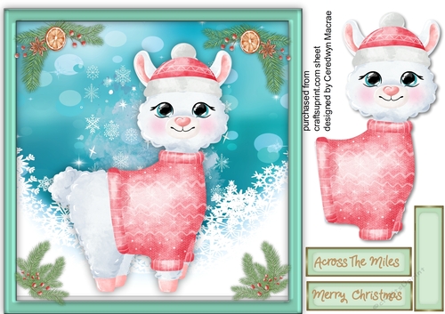 Gorgeous  Llama in Woolly Jumper