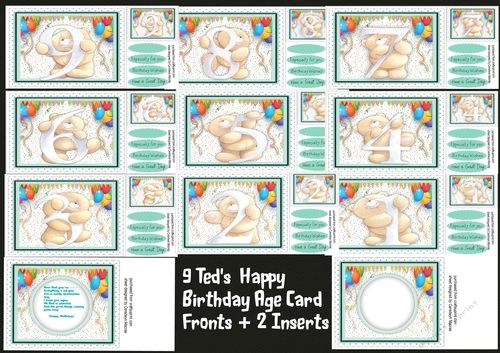 9, Teds Happy Birthday Age Cards +2 Inserts