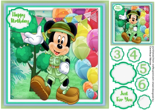 Mickys Birthday Wish