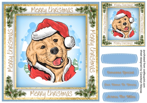 Dog in a Santa Hat
