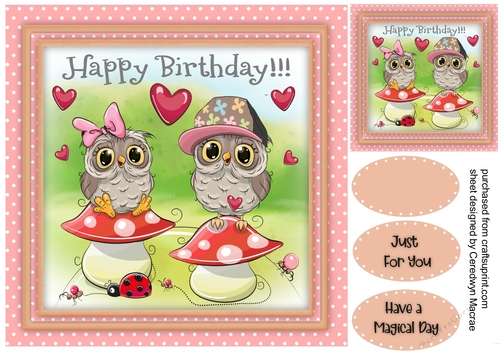 Owls Birthday on a Mushroom 