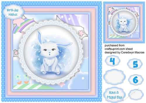 Cute Bunny in a Lace Frame