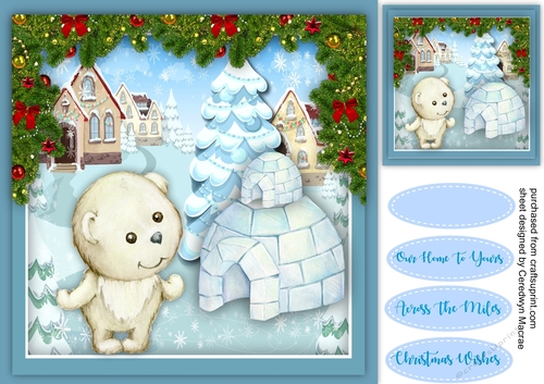 Polar  Bears New Home 