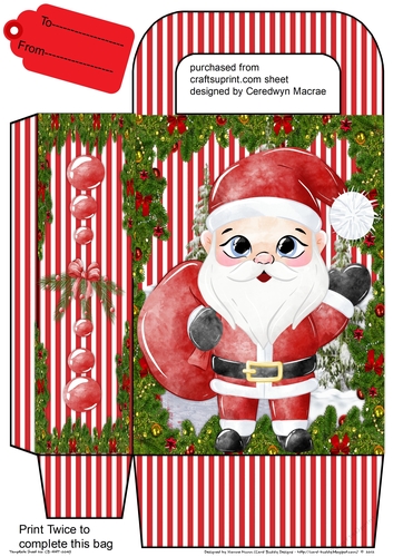 Gift Bag with Gorgeous Santa
