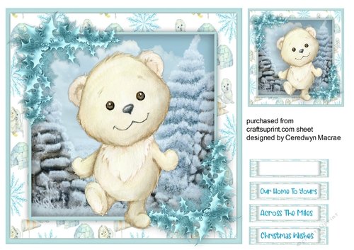 Gorgeous Baby Bear