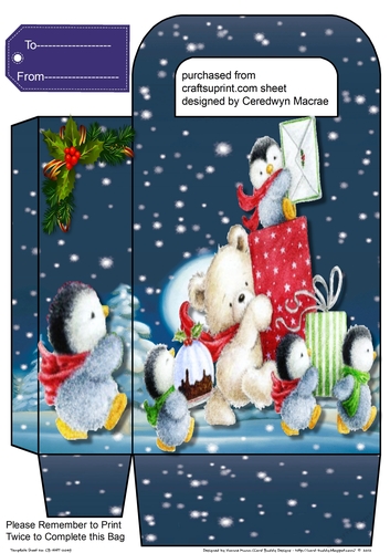 Gorgeous Gift Bag ,Teds Parade