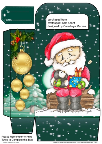 Gorgeous Gift Bag ,So Sweet Santa