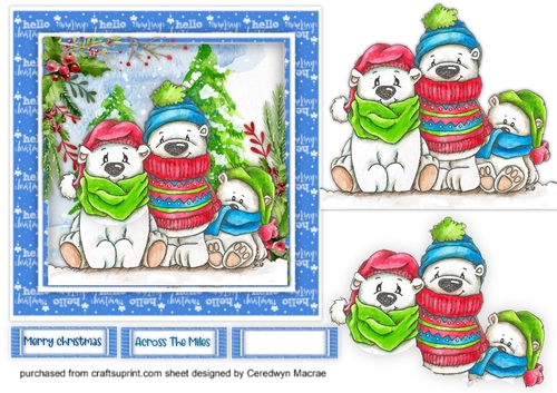 3, Chilly Polar Bears 1