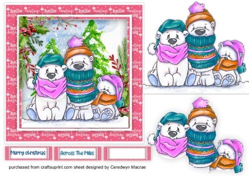 3, Chilly Polar Bears 2