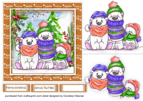 3, Chilly Polar Bears 4