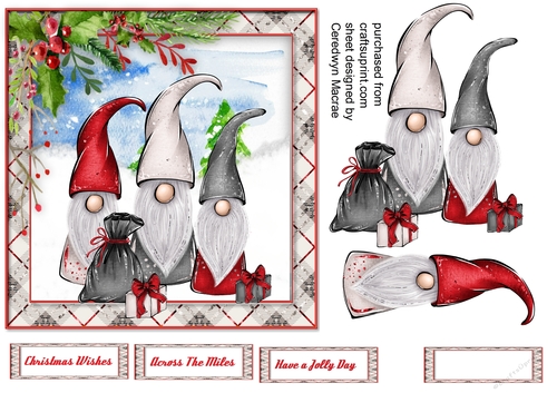 The Christmas Gnomes