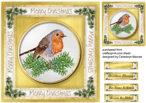 Gorgeous Christmas Robin 1