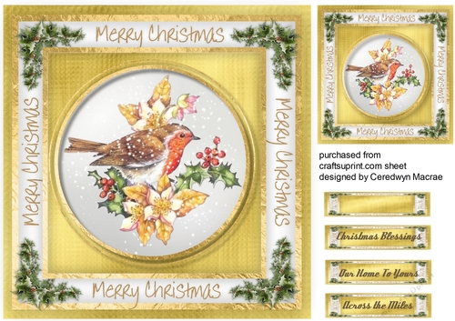 Gorgeous Christmas Robin 3
