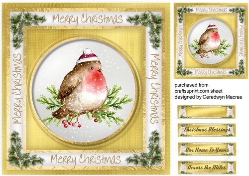 Gorgeous Christmas Robin 4