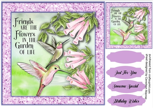 Lovely Humming Birds and Trumpet Flowers