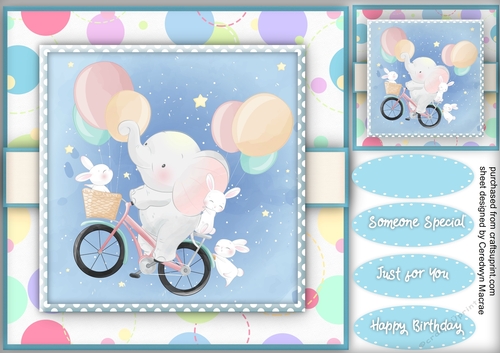 Ellies Floating Bike Ride 