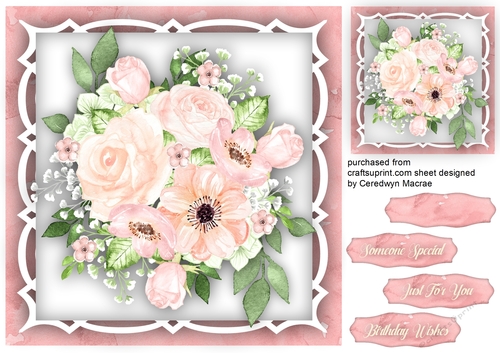 Beautiful Fragrant Roses 