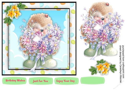 Hedgehogs Special Greeting 