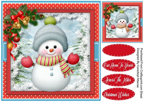 Cute Snowman in a Knitted Hat 1