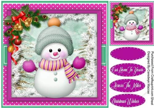 Cute Snowman in a Knitted Hat 2