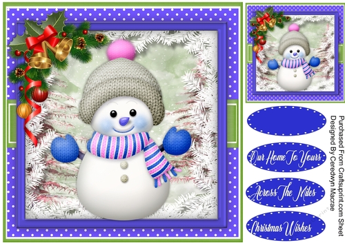 Cute Snowman in a Knitted Hat 3