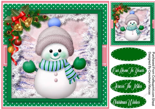 Cute Snowman in a Knitted Hat 4