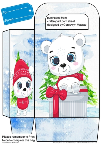 Gorgeous Bear Gift Bag 2