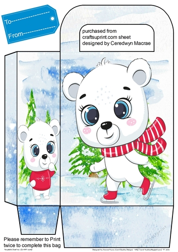 Gorgeous Bear Gift Bag 3