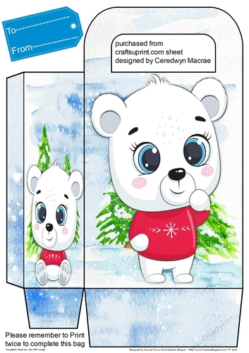 Gorgeous Bear Gift Bag 4