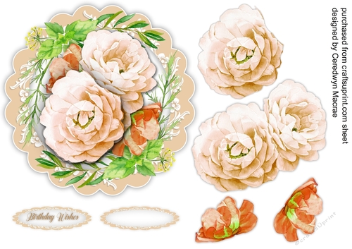 Cream Roses on a Scalloped Mat