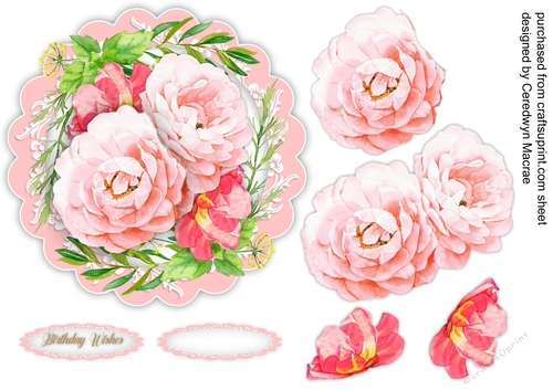 Pink Roses on a Scalloped Mat