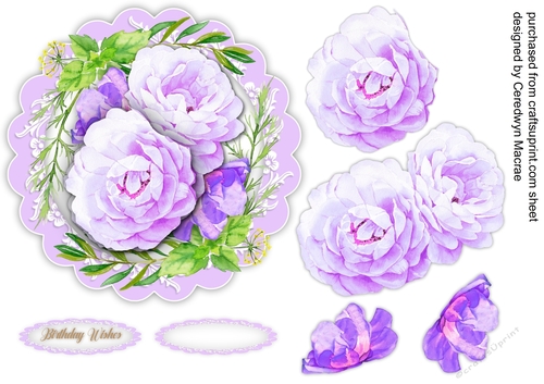 Lilac  Roses on a Scalloped Mat