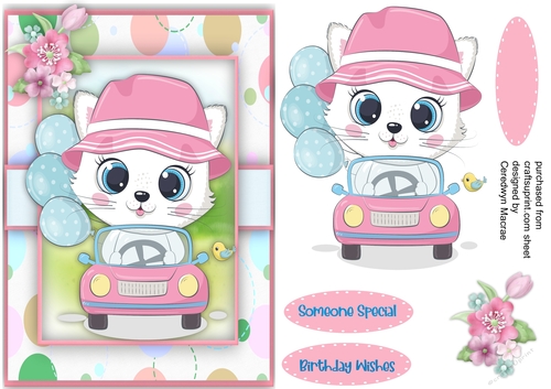 A5 , Kittys New Car