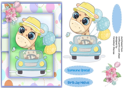 A5 ,Giraffes  New Car